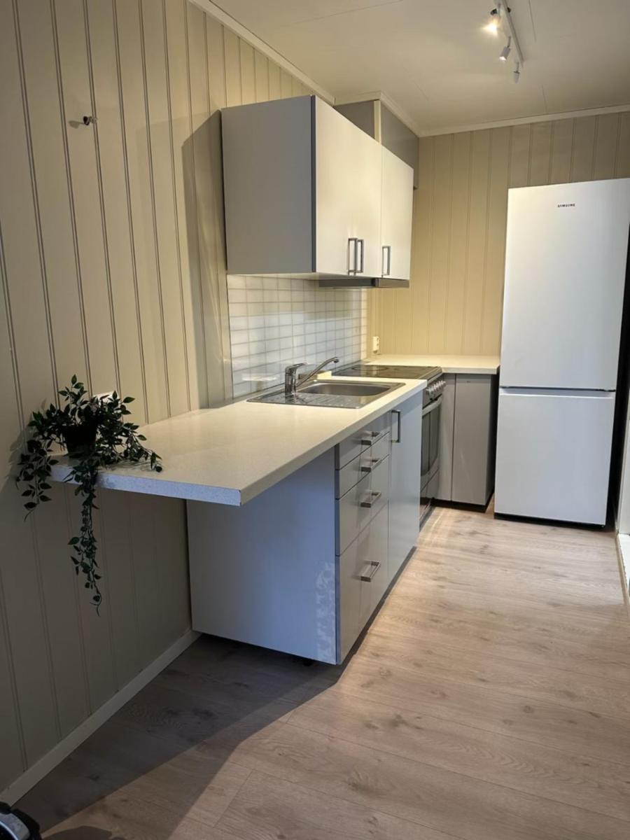 Lys Rent Og Trivelig Hybelleilighet *