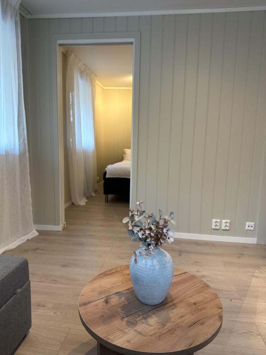 Apartment Lys Rent Og Trivelig Hybelleilighet